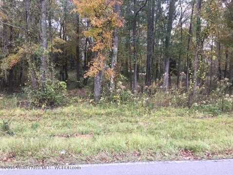 LOT 1 & 2 PINEVIEW St, Jasper, AL 35504