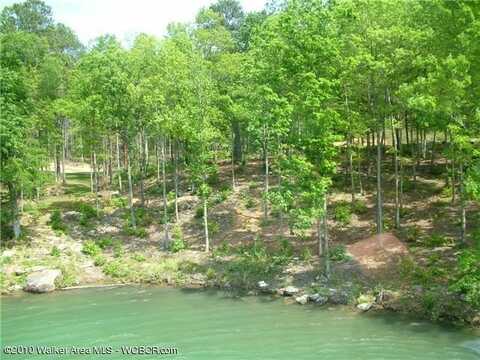 LOT # 44 OSPREV AVE, Arley, AL 35541