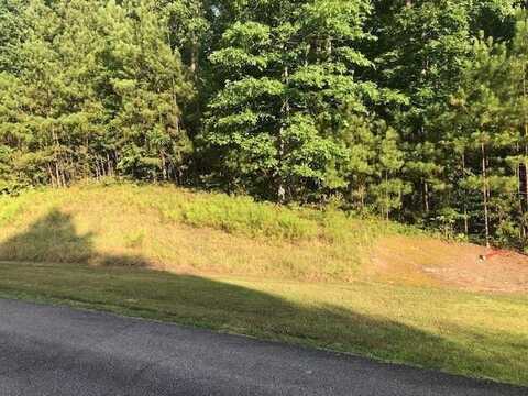 LOT 188 NORTH STONEY POINTE ROAD, Double Springs, AL 35553