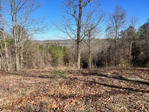 902 CO RD 1193, Vinemont, AL 35179