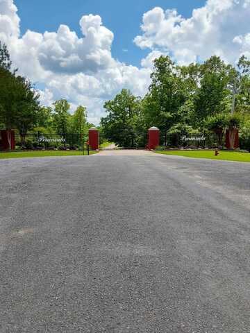 BRUSHY POINT OVERLOOK, Houston, AL 35572