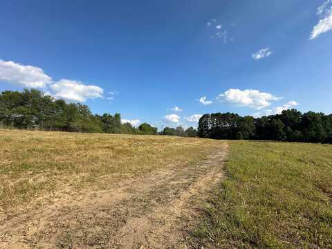 DOWDEY RD, Jasper, AL 35504