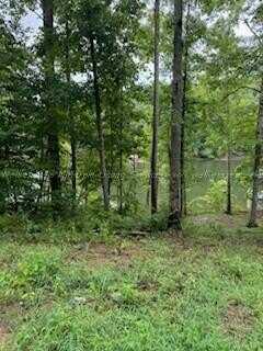 LOT 10 NORTHPOINTE Dr, Arley, AL 35541