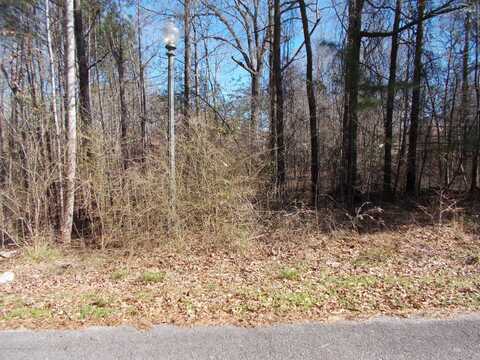 LOT 17 SARAH LANE, Jasper, AL 35504