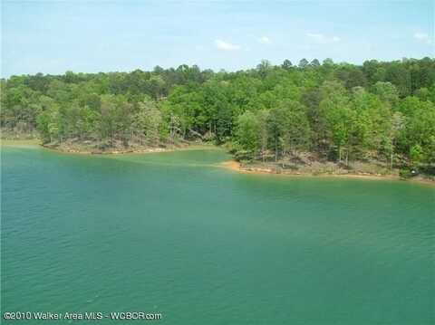 LOT # 50 OSPREV AVE, Arley, AL 35541