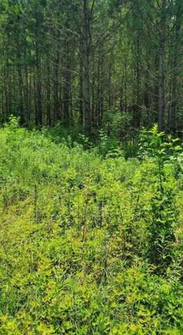 LOT # 16 HIGHLAND SHORES SUBDIVISION, Jasper, AL 35503