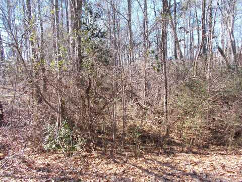 LOT 30 14TH Ave, Jasper, AL 35504