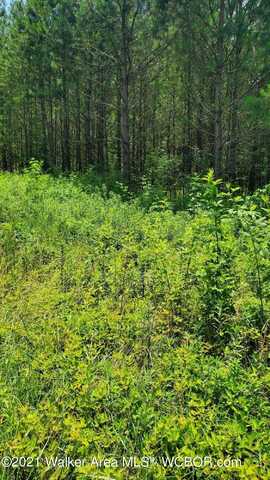 LOT #15 HIGHLAND SHORES SUBDIVISION, Jasper, AL 35503