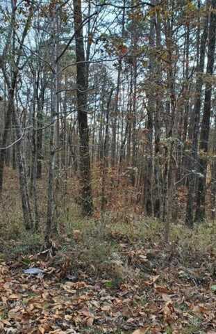 LOT 13/14 RANDOLPH COVE, Jasper, AL 35503