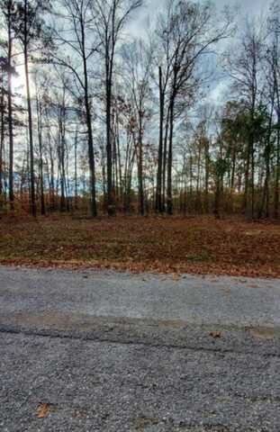 LOT 8 RANDOLPH COVE, Jasper, AL 35503