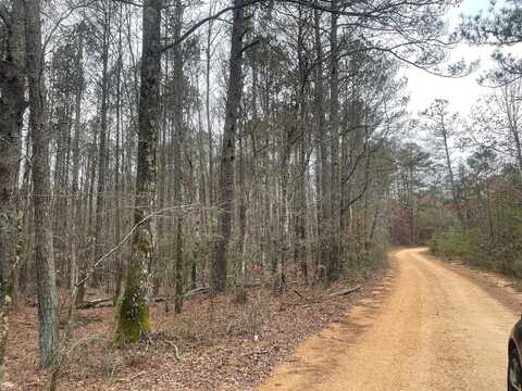 SILOAM Rd, Winfield, AL 35594