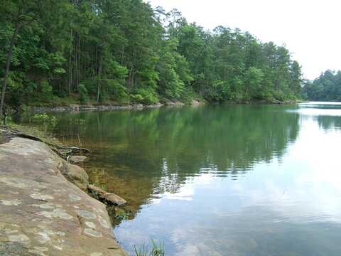 BIG BEAR BRANCH ROAD, Double Springs, AL 35553