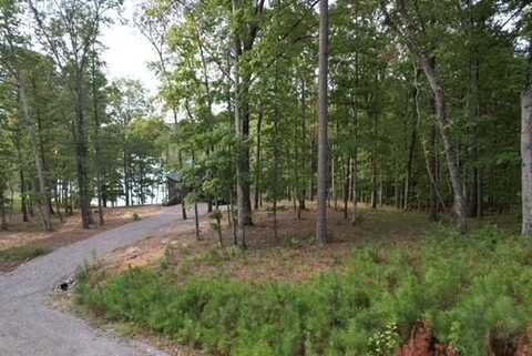 LOT 13 SHORESIDE AT SIPSEY, Double Springs, AL 35553