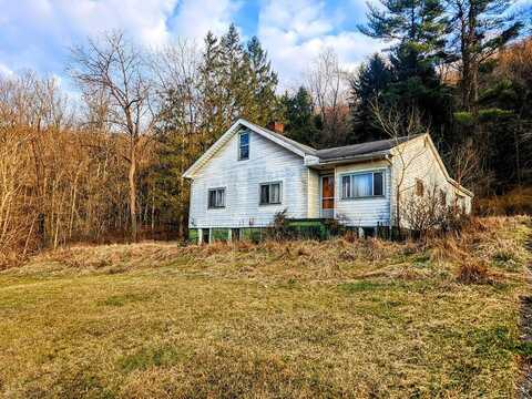 91 Springer Addition, Triadelphia, WV 26059