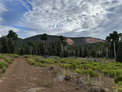 225 Ac S of Below Navajo Lk/N Fork Rd, Duck Creek Village, UT 84762