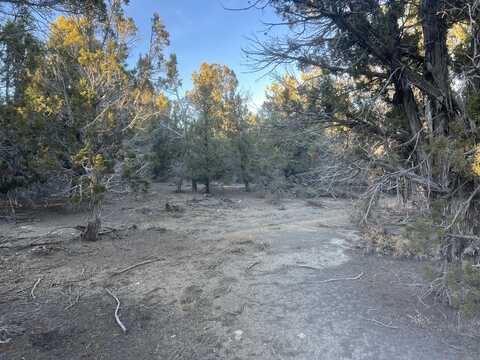 Slide Canyon Road, Kanab, UT 84741