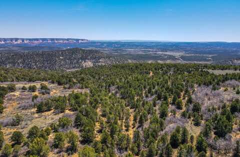 829.15 Acres East of Zion, Mount Carmel, UT 84755