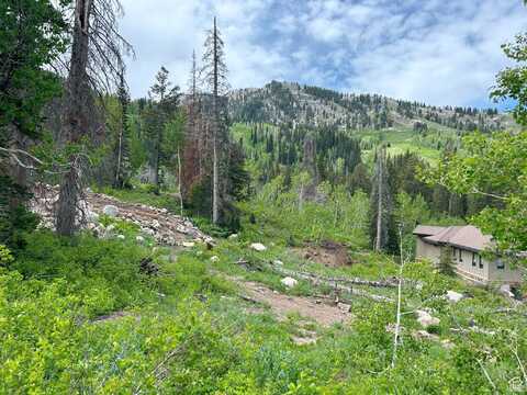 12176 E BIG COTTONWOOD CANYON, Brighton, UT 84121