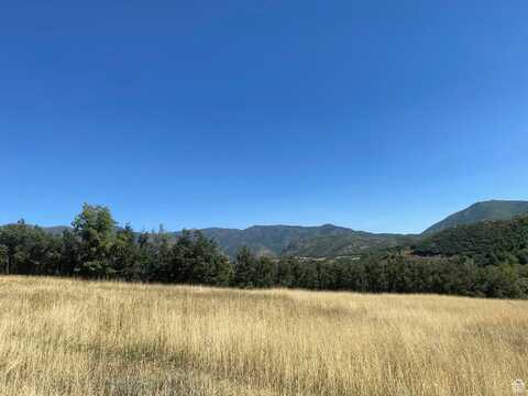 169 S MEADOW E, Springville, UT 84663