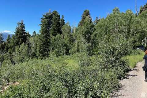 56 K QUAKING PINE, Fairview, UT 84629