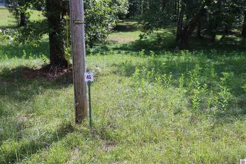 Lot #45 Doe Valley Drive, Benton, KY 42025