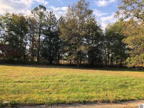 Lot 42 Masters Drive, Mayfield, KY 42066