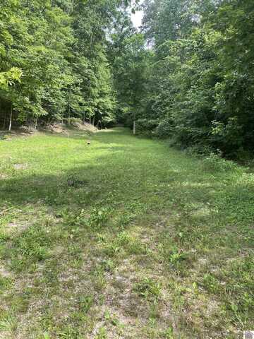 3642 Linton Rd, Cadiz, KY 42211