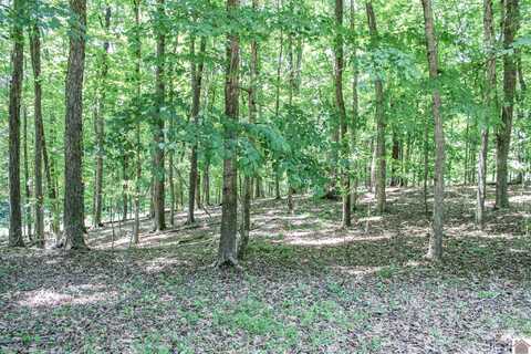 0 Indian Hills Trail, Eddyville, KY 42038