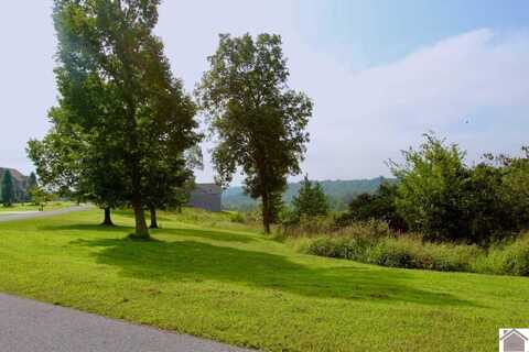 Lot 4 Rose Lane, Eddyville, KY 42038