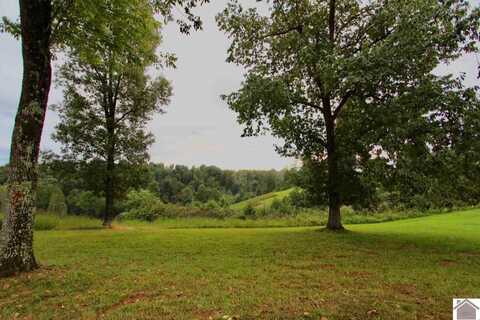 Lot 5 Rose Lane, Eddyville, KY 42038