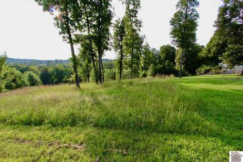 Lot 66 Kelsey Jo, Eddyville, KY 42038