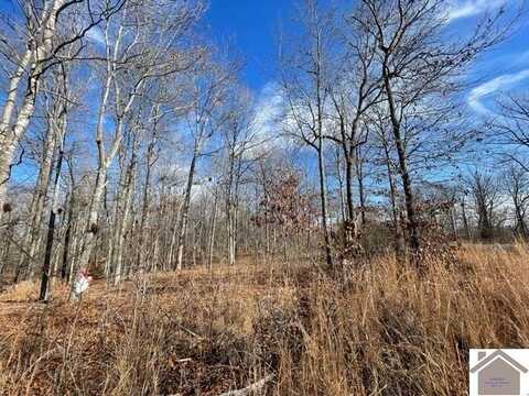 Lot 99 Deepwood Drive, Murray, KY 42071