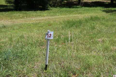 Lot #12 Pine View Drive, Benton, KY 42025