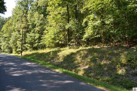 Lot 1 Rolling Mills Road, Eddyville, KY 42038