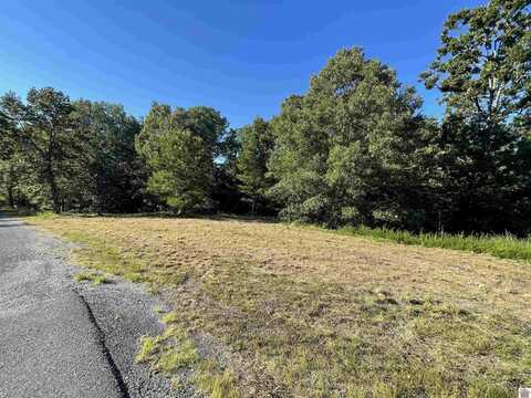 LOT 45 & 46 Patricia Drive, New Concord, KY 42076