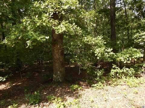 Lot 58 Imogene Dr, Gilbertsville, KY 42044