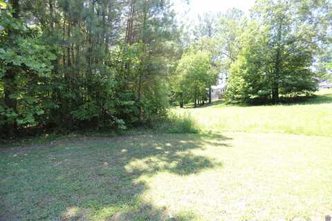 Lot #46 Doe Valley Drive, Benton, KY 42025