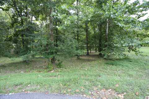 Lot #3 Pine View Drive, Benton, KY 42025