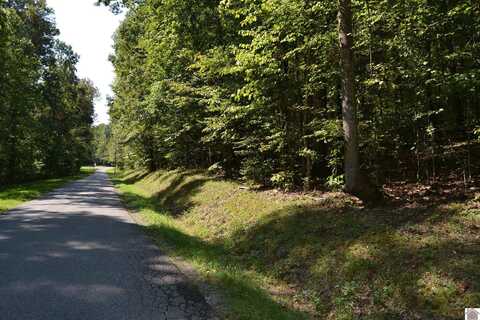 Lot 2 Rolling Mills Road, Eddyville, KY 42038