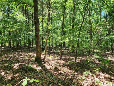 00 Hills Hollow Road, Lot 53, Murray, KY 42071