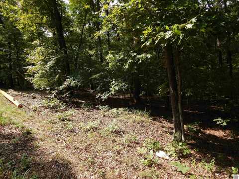 Lot 25 Imogene Dr, Gilbertsville, KY 42044