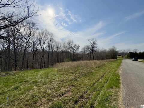 00 Sun Hill Cir, Lots 26 & 27, Cadiz, KY 42211