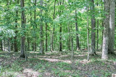 0 Indian Hills Trail, Eddyville, KY 42038