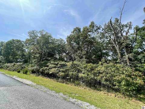 Deepwood Drive, Murray, KY 42071