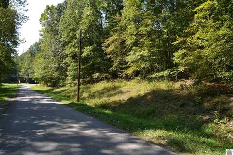 Lot 3 Rolling Mills Road, Eddyville, KY 42038