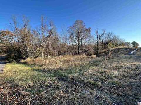 Lot 8 Atlantic Ave, Wingo, KY 42088