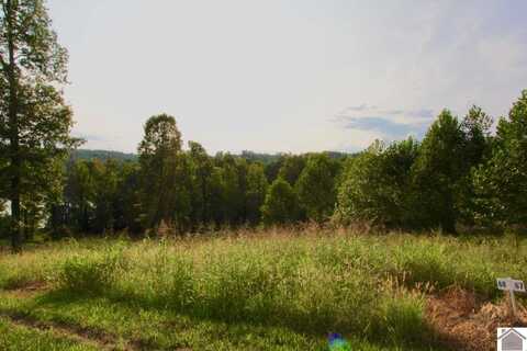 Lot 68 Kelsey Jo, Eddyville, KY 42038