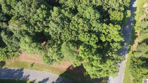 Lot 31 Old Hillcrest Dr, Murray, KY 42071