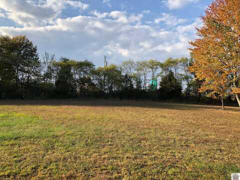 Lot 39 Masters Drive, Mayfield, KY 42066