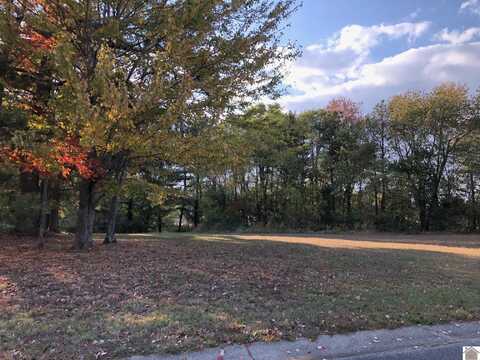 Lot 37 Masters Drive, Mayfield, KY 42066